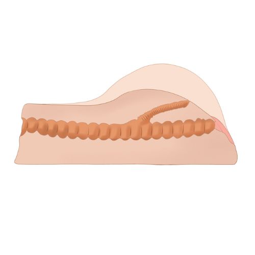 Loving Joy Ava Vibrating Masturbator from Nice 'n' Naughty